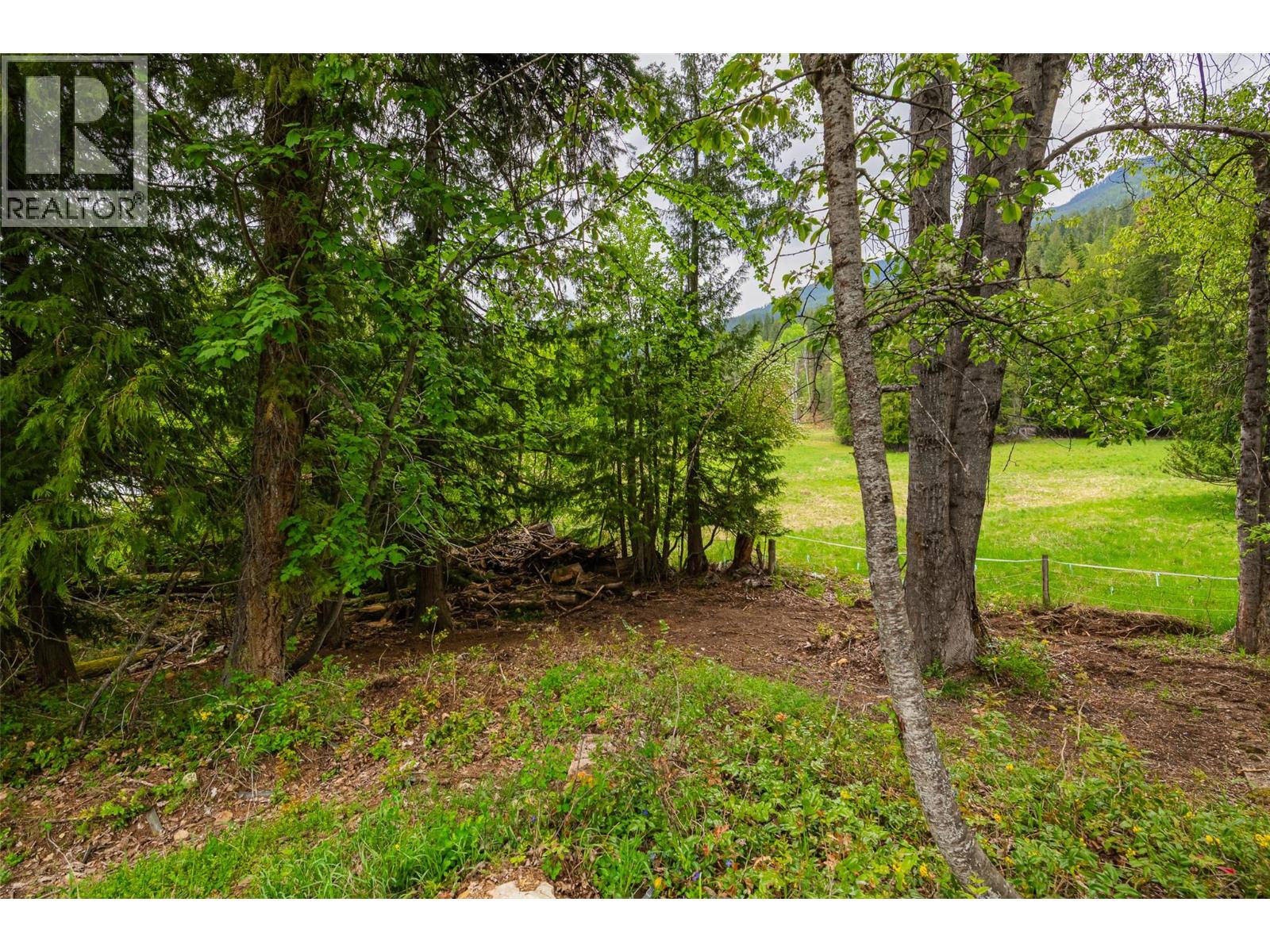 1524 Russel Avenue, Riondel, British Columbia  V0B 2B0 - Photo 6 - 10385462