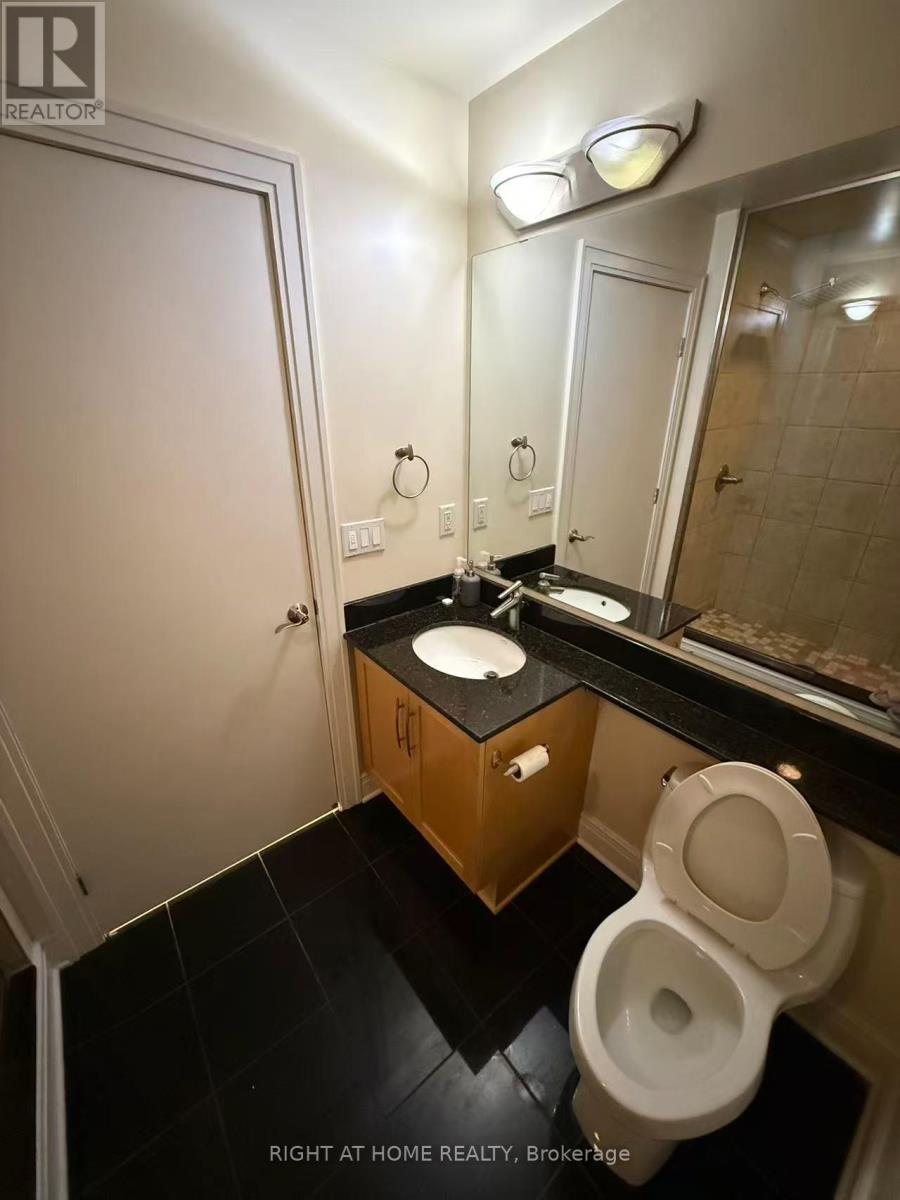1204 - 95 Bronson Avenue, Ottawa, Ontario  K1R 1E2 - Photo 11 - X13114520