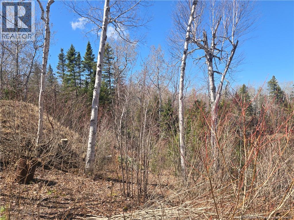 Lot 07-2 Straight Brook Road, Tabusintac, New Brunswick  E9H 2B8 - Photo 12 - NB138092