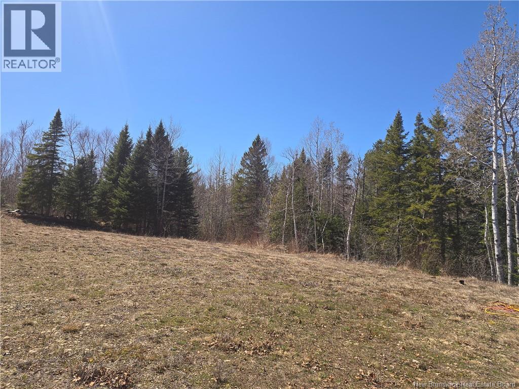 Lot 07-2 Straight Brook Road, Tabusintac, New Brunswick  E9H 2B8 - Photo 27 - NB138092