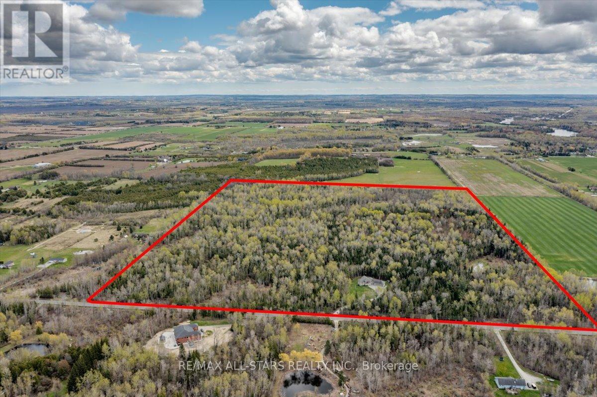 6001 Old Homestead Road, Georgina, Ontario  L0E 1R0 - Photo 3 - N13114752