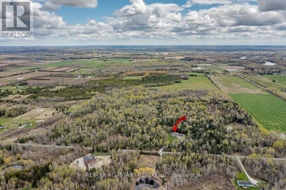 6001 Old Homestead Road, Georgina, Ontario  L0E 1R0 - Photo 40 - N13114752