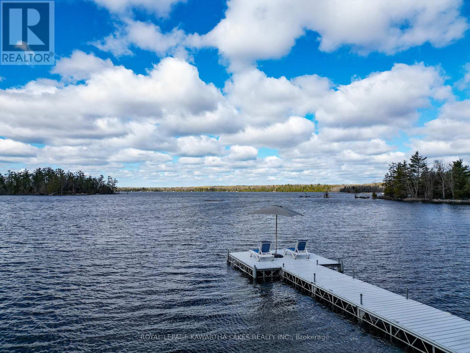 11 Woodworth Drive, Kawartha Lakes, Ontario  K0M 1C0 - Photo 40 - X13114822