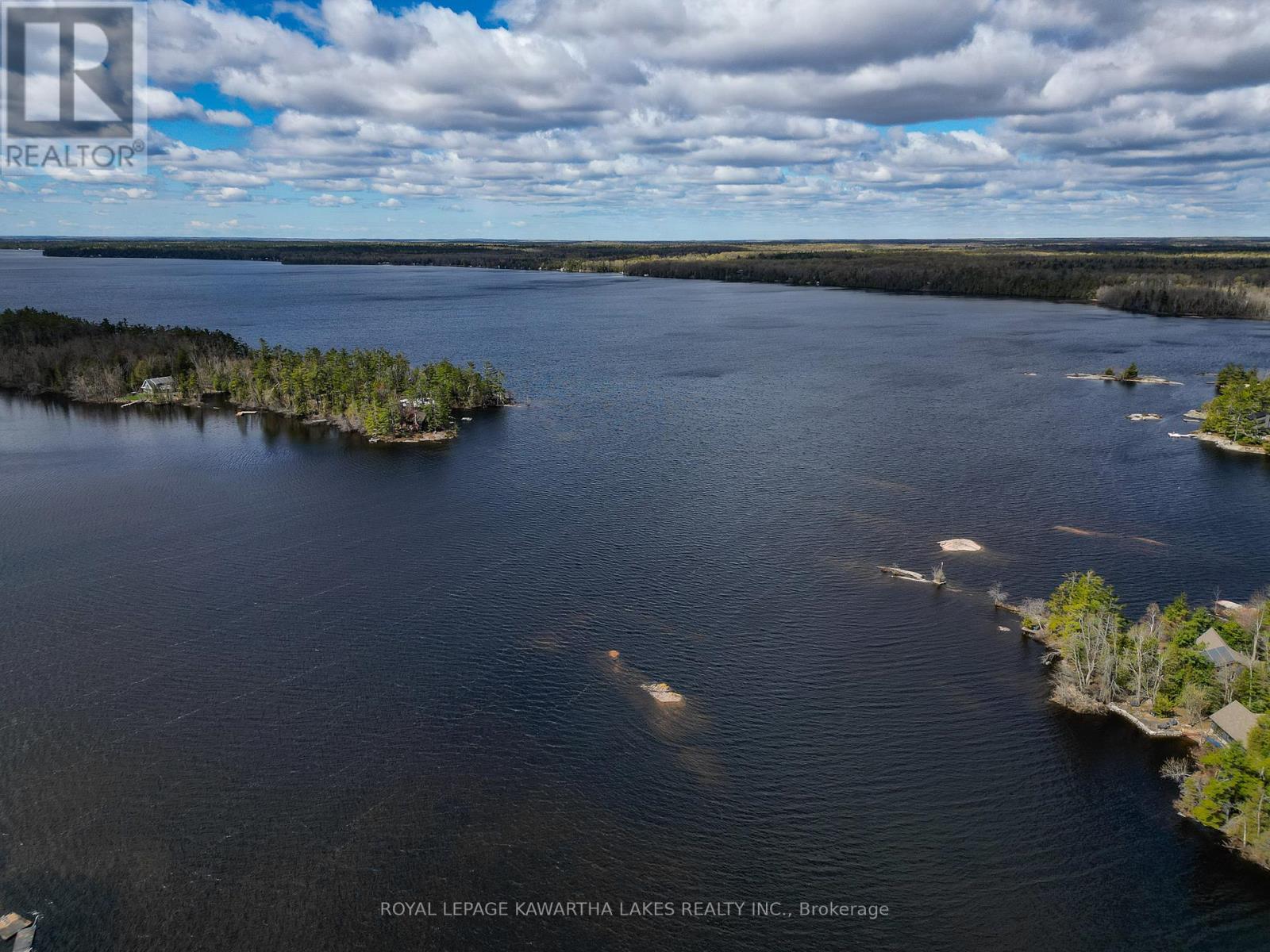 11 Woodworth Drive, Kawartha Lakes, Ontario  K0M 1C0 - Photo 44 - X13114822