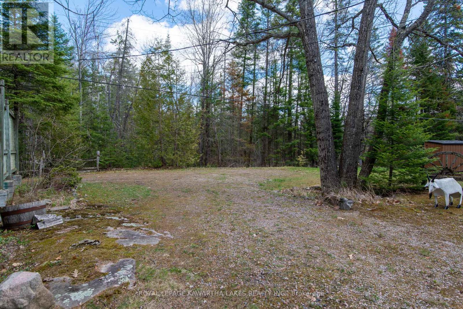 11 Woodworth Drive, Kawartha Lakes, Ontario  K0M 1C0 - Photo 46 - X13114822