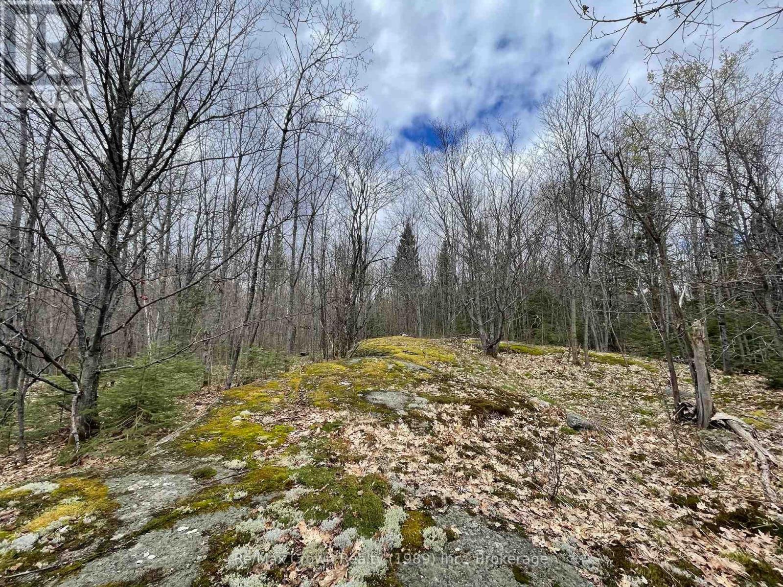 0 Alsace Road, Nipissing, Ontario  P0H 1W0 - Photo 3 - X12914490