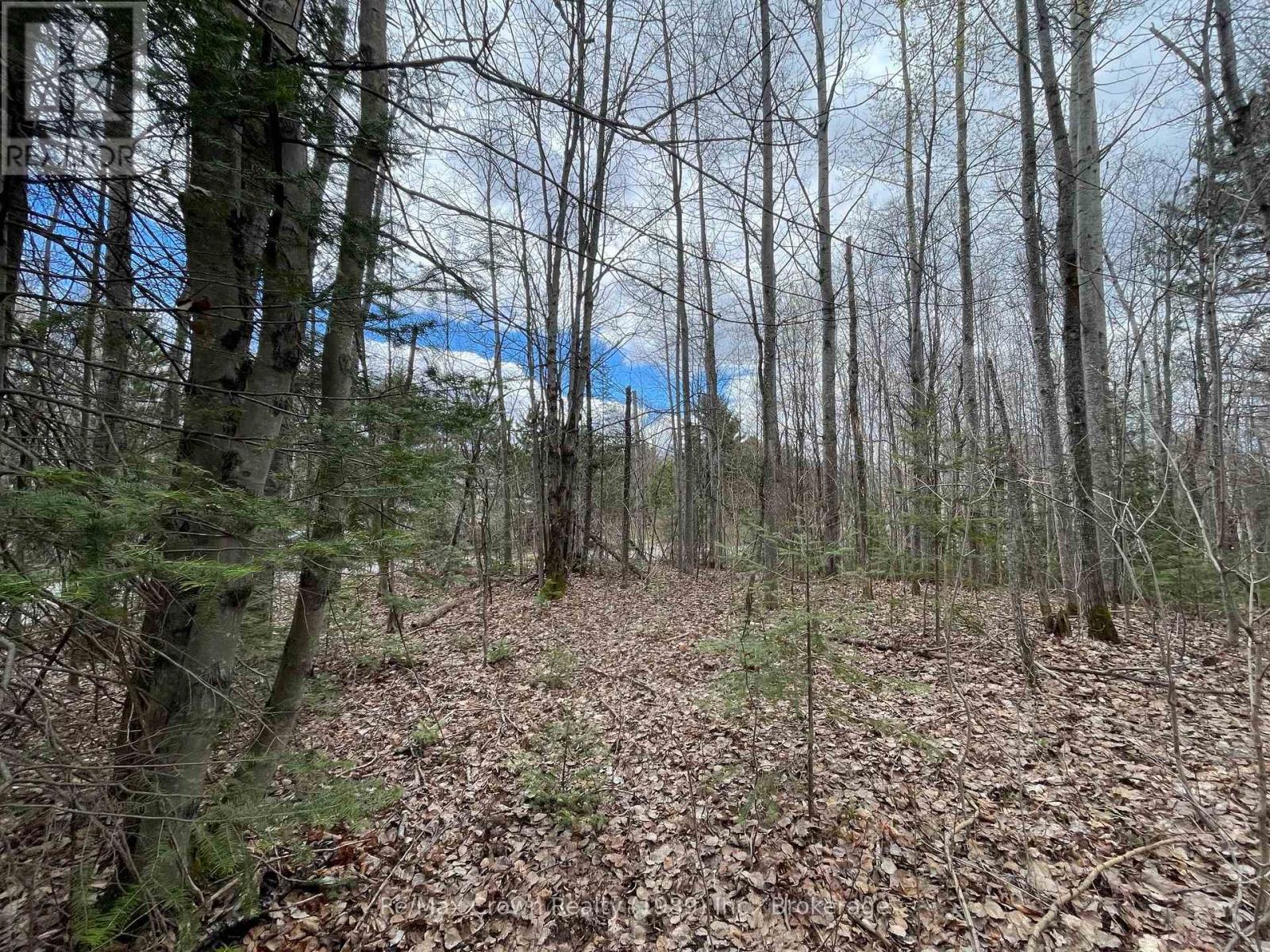 0 Alsace Road, Nipissing, Ontario  P0H 1W0 - Photo 6 - X12914490