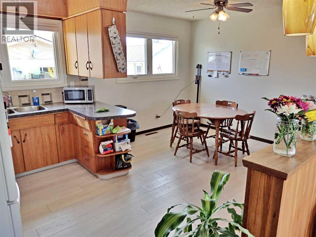 4713 55 Avenue, Vermilion, Alberta  T9X 1S5 - Photo 8 - A2309587