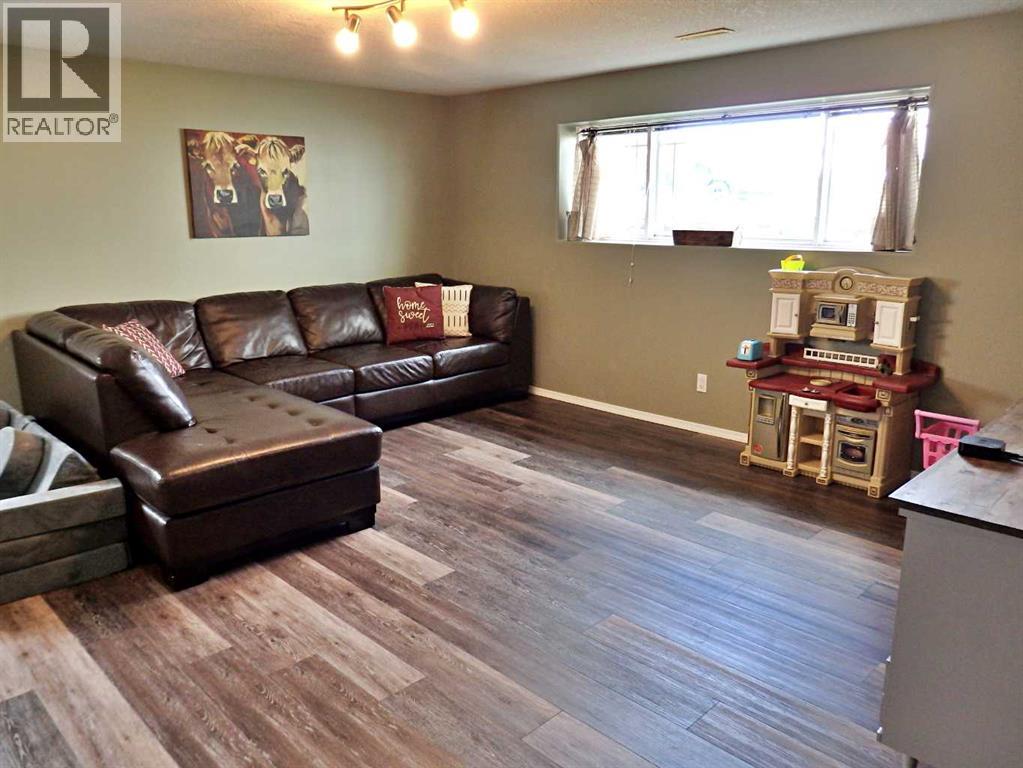 4802 Airport Drive, Vermilion, Alberta  T9X 1P2 - Photo 29 - A2309368