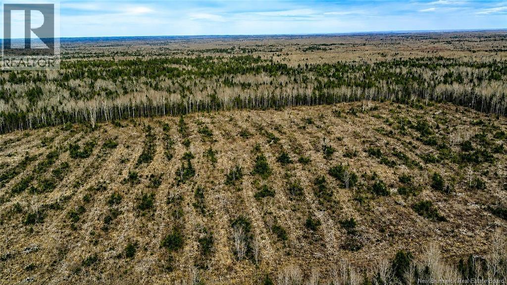Lot 23-A Melanson Road, Notre-Dame, New Brunswick  E4V 1Z6 - Photo 4 - NB139152