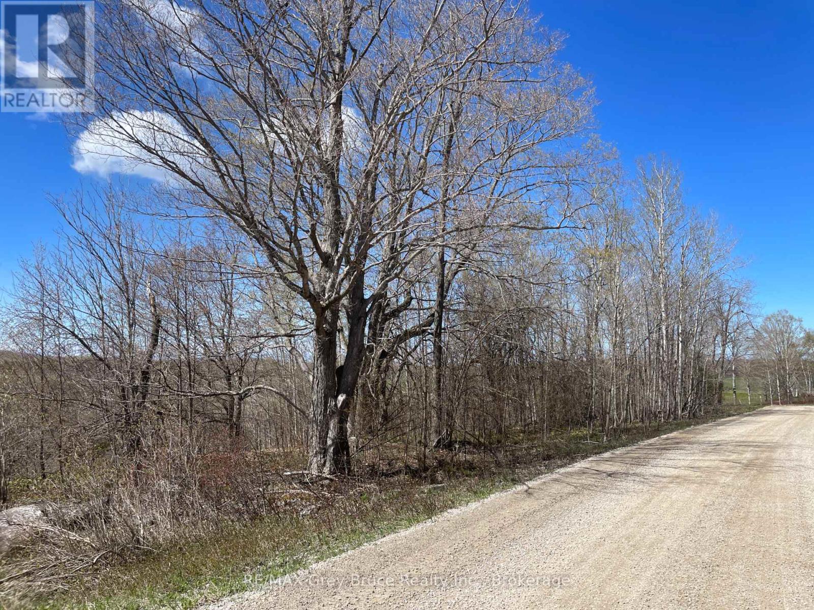 Part 1 Cape Chin North Road, Northern Bruce Peninsula, Ontario  N0H 1W0 - Photo 19 - X13114910