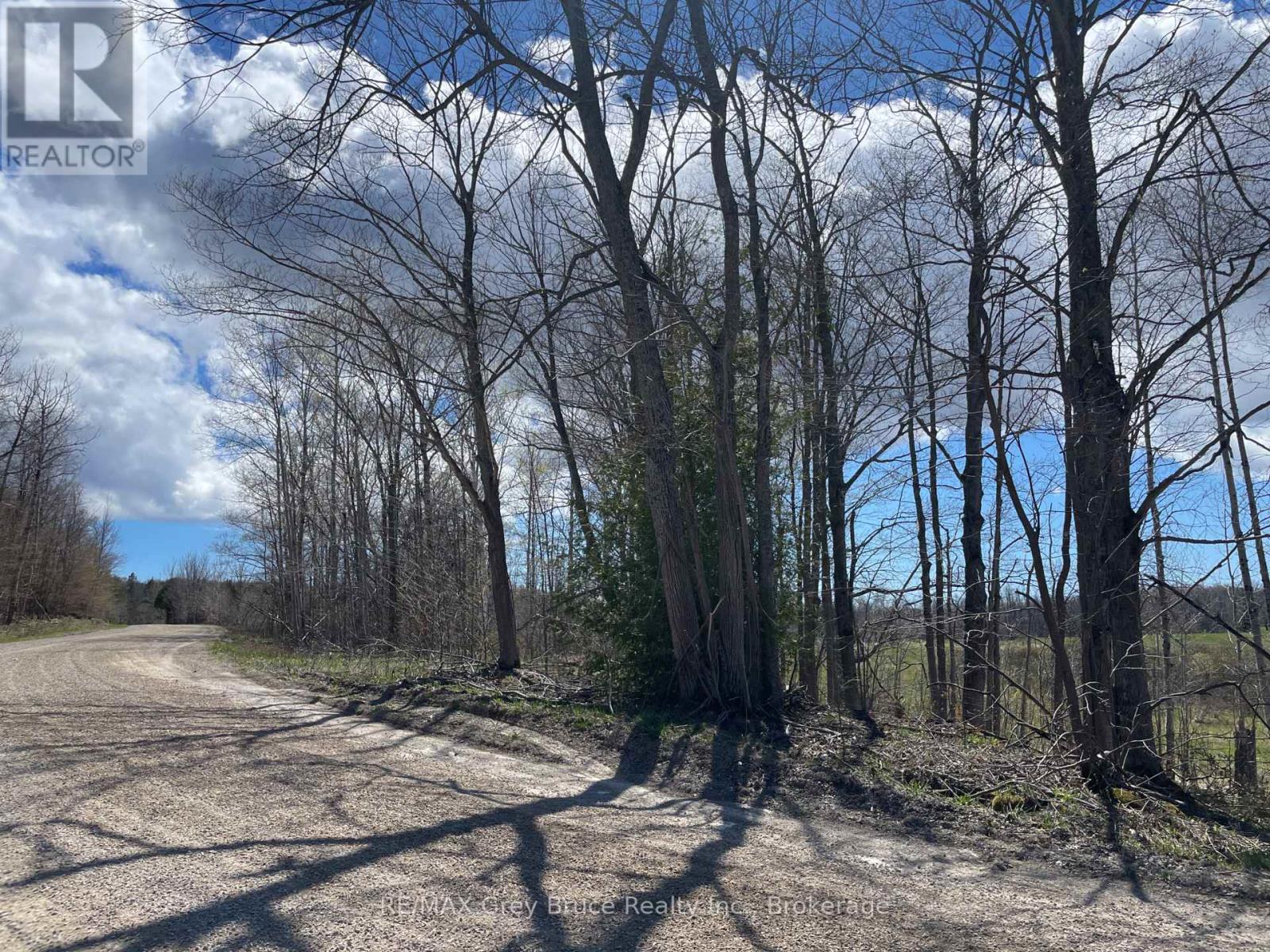 Part 1 Cape Chin North Road, Northern Bruce Peninsula, Ontario  N0H 1W0 - Photo 22 - X13114910