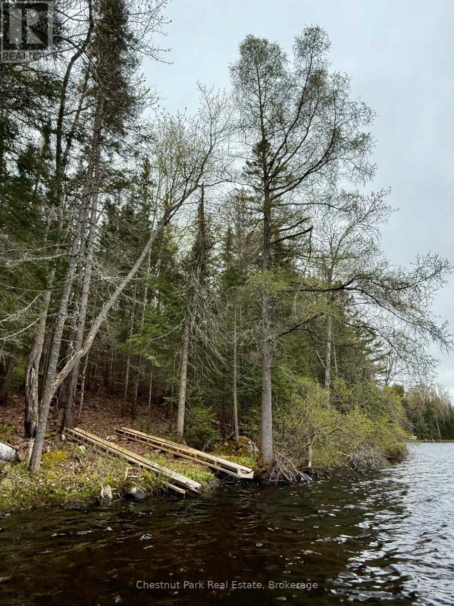 0 King Lake, Machar, Ontario  P0A 1X0 - Photo 16 - X13115060