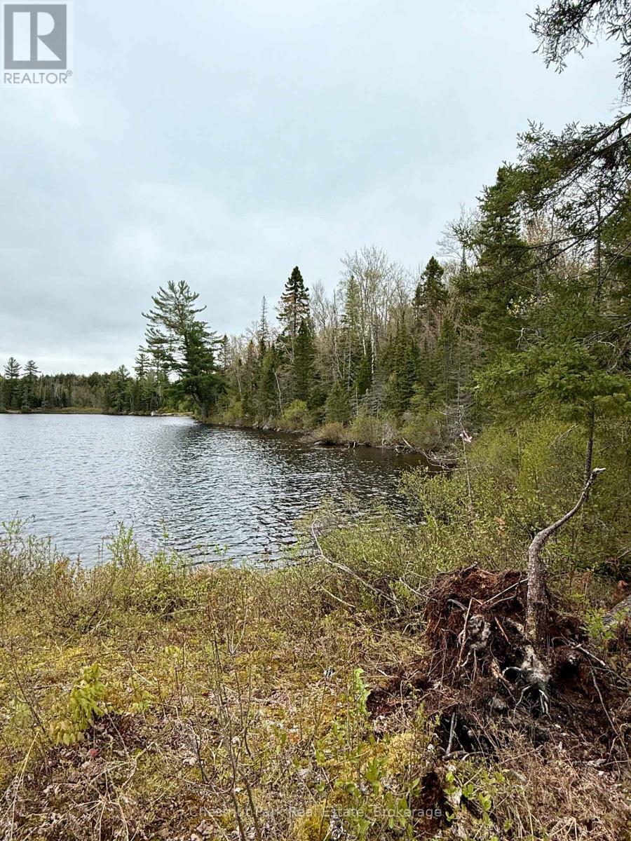 0 King Lake, Machar, Ontario  P0A 1X0 - Photo 18 - X13115060