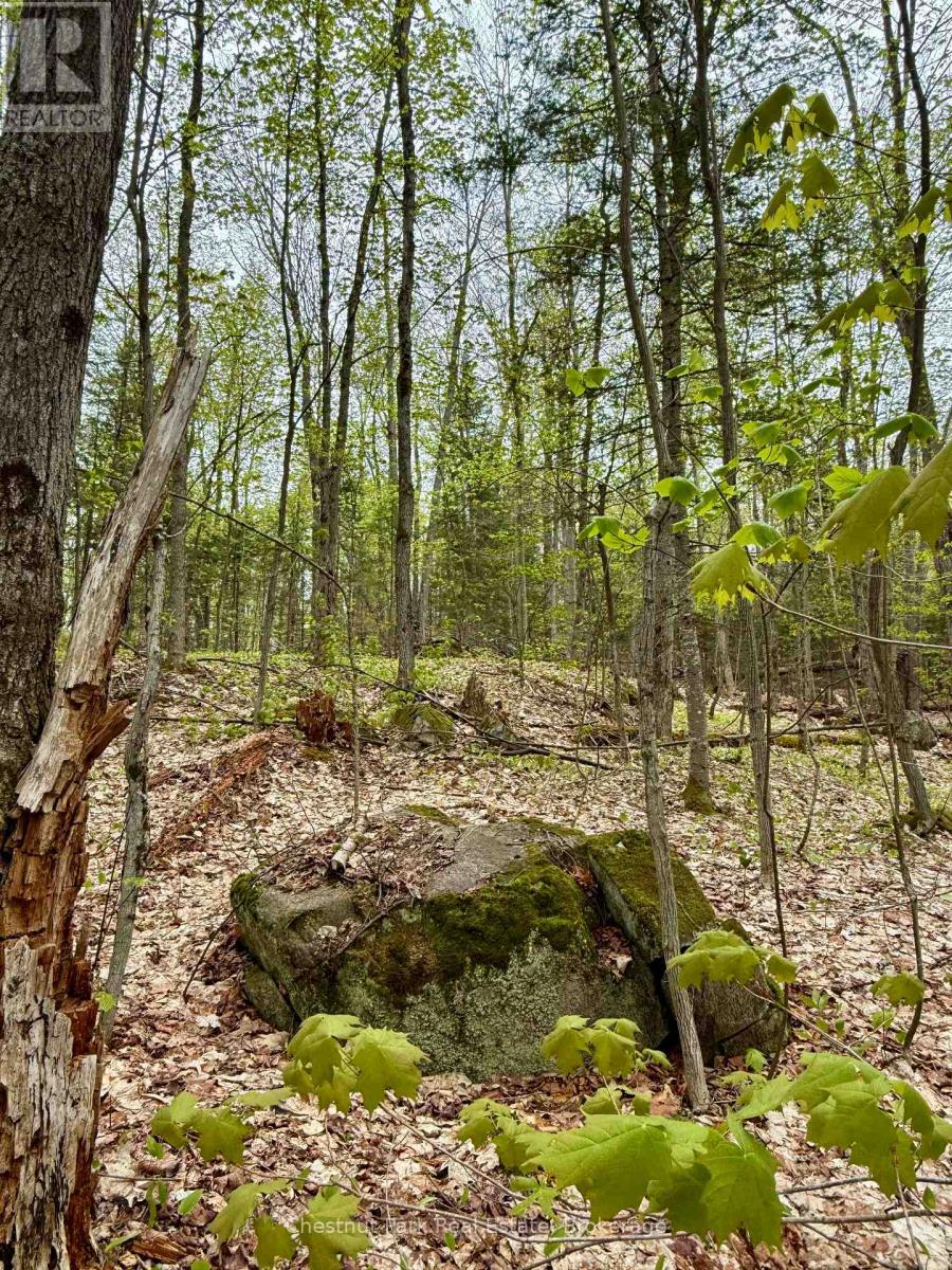 0 King Lake, Machar, Ontario  P0A 1X0 - Photo 25 - X13115060