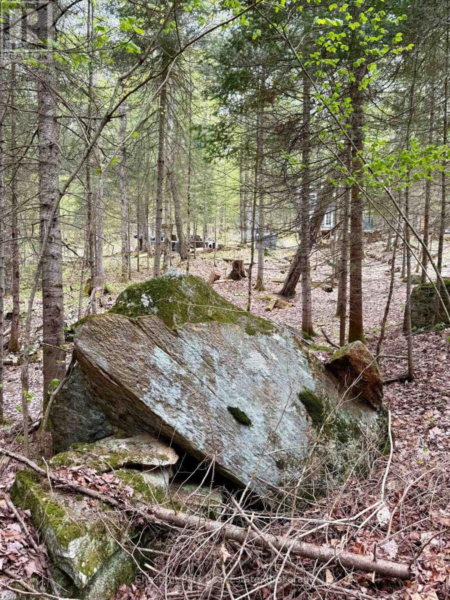 0 King Lake, Machar, Ontario  P0A 1X0 - Photo 29 - X13115060