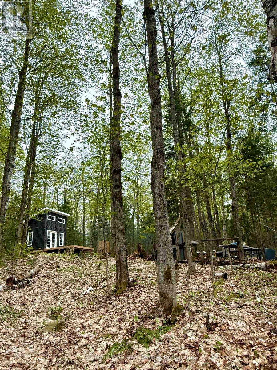0 King Lake, Machar, Ontario  P0A 1X0 - Photo 37 - X13115060
