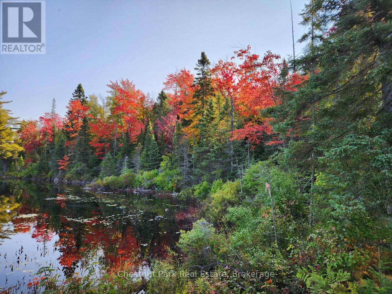 0 King Lake, Machar, Ontario  P0A 1X0 - Photo 9 - X13115060