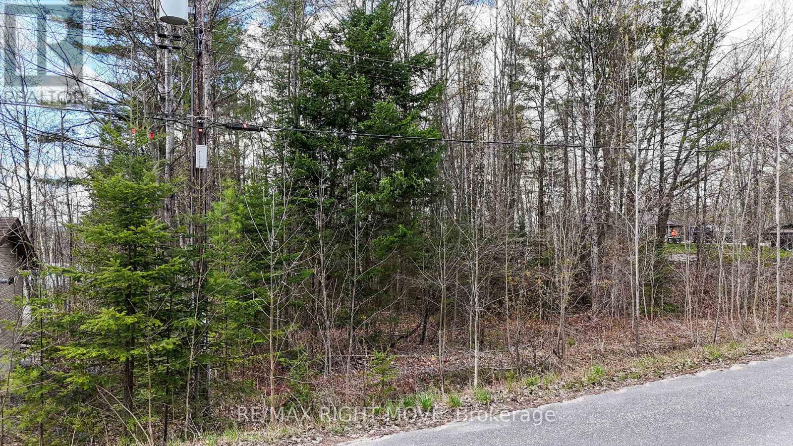 5123 Severn Pines Crescent, Severn, Ontario  L0K 2B0 - Photo 6 - S13115038