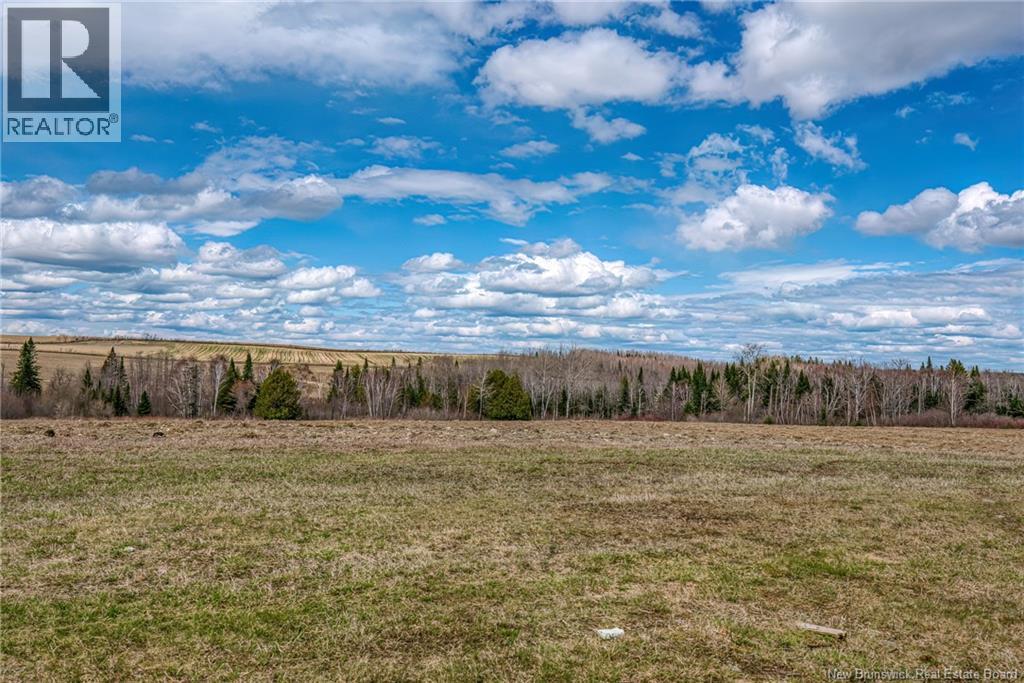 435 Route 375, Dsl De Grand-Sault/falls, New Brunswick  E3Z 1Z1 - Photo 10 - NB139236