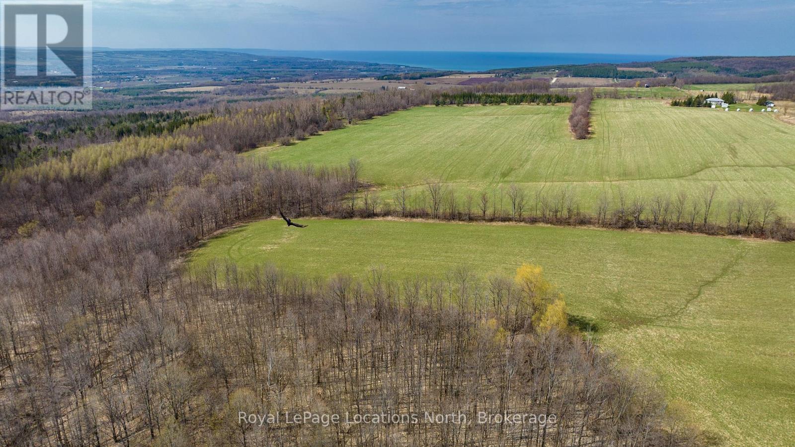 Lt 17-18 6th Line, Blue Mountains, Ontario N0H 1J0 - Photo 11 - X13115196