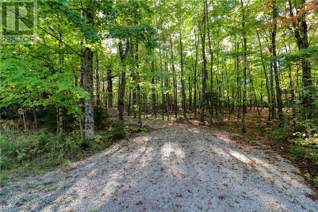 98 Steven Street, Gore Bay, Ontario  P0P 1H0 - Photo 11 - 2127597