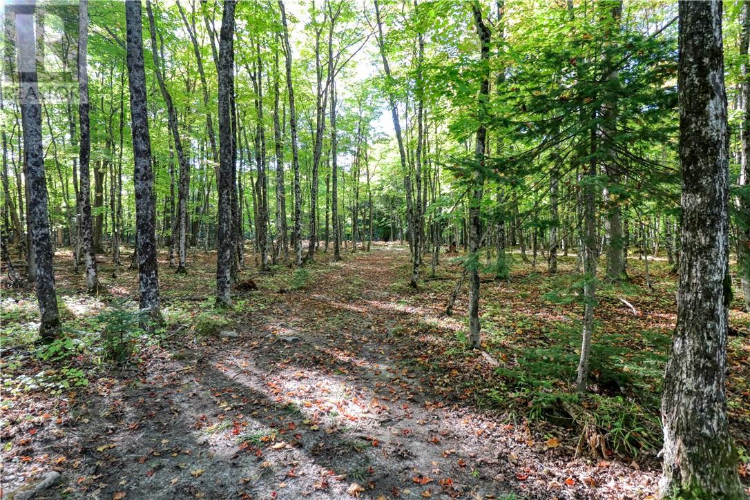98 Steven Street, Gore Bay, Ontario  P0P 1H0 - Photo 14 - 2127597