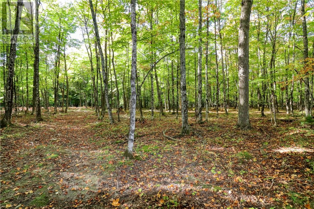 98 Steven Street, Gore Bay, Ontario  P0P 1H0 - Photo 15 - 2127597