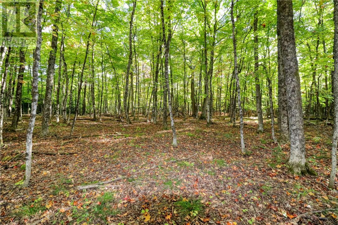 98 Steven Street, Gore Bay, Ontario  P0P 1H0 - Photo 17 - 2127597