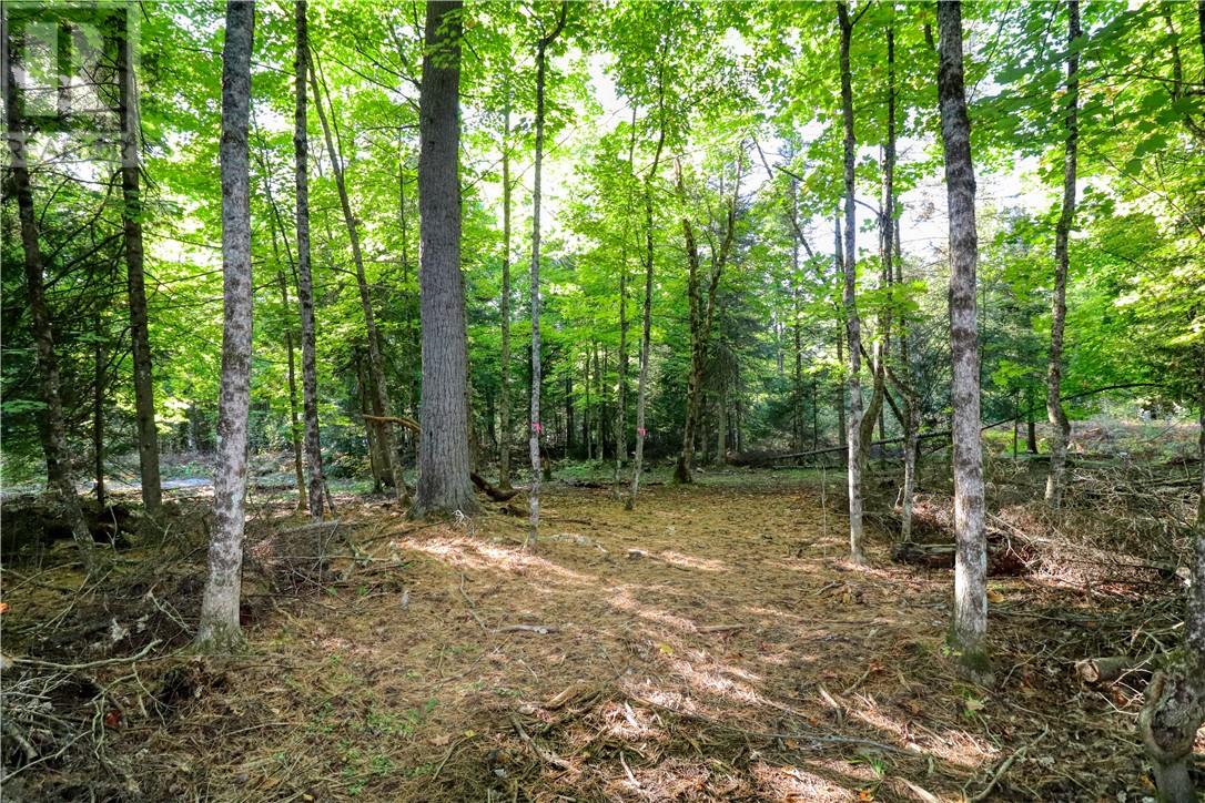 98 Steven Street, Gore Bay, Ontario  P0P 1H0 - Photo 18 - 2127597