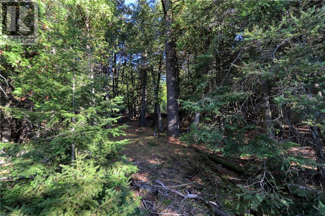 98 Steven Street, Gore Bay, Ontario  P0P 1H0 - Photo 29 - 2127597