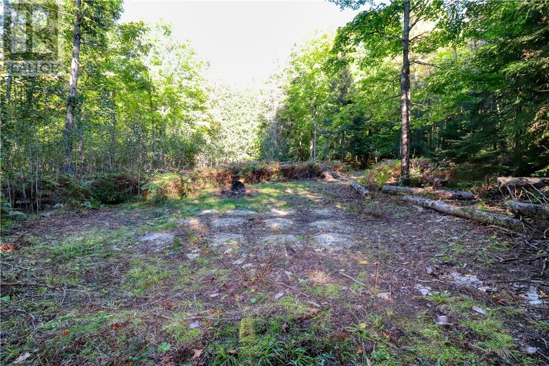 98 Steven Street, Gore Bay, Ontario  P0P 1H0 - Photo 31 - 2127597