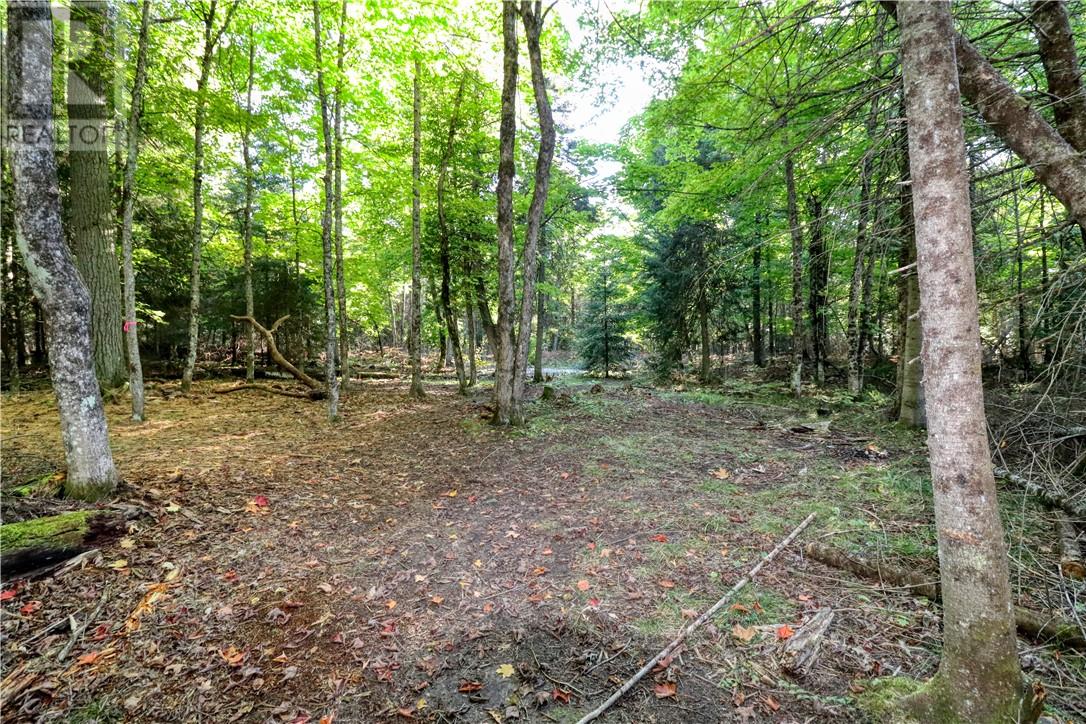 98 Steven Street, Gore Bay, Ontario  P0P 1H0 - Photo 33 - 2127597