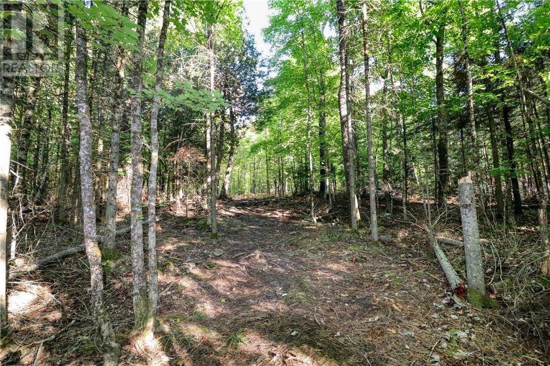 98 Steven Street, Gore Bay, Ontario  P0P 1H0 - Photo 34 - 2127597