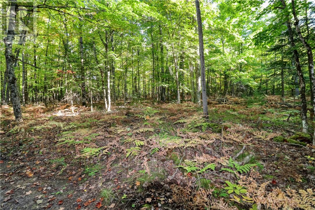 98 Steven Street, Gore Bay, Ontario  P0P 1H0 - Photo 35 - 2127597