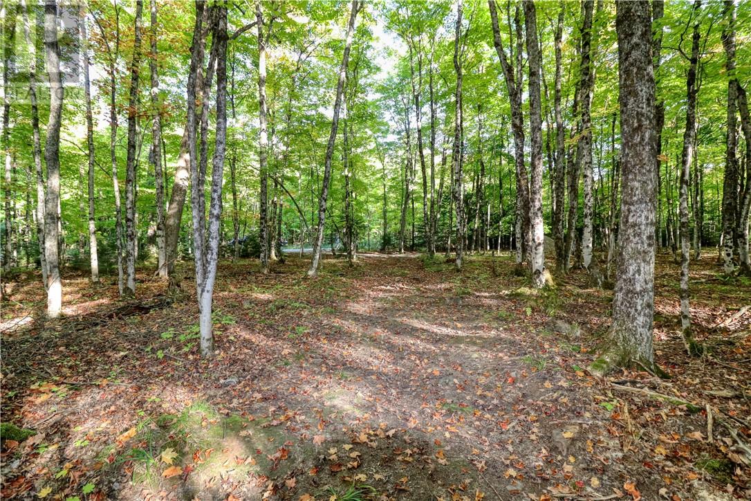 98 Steven Street, Gore Bay, Ontario  P0P 1H0 - Photo 36 - 2127597