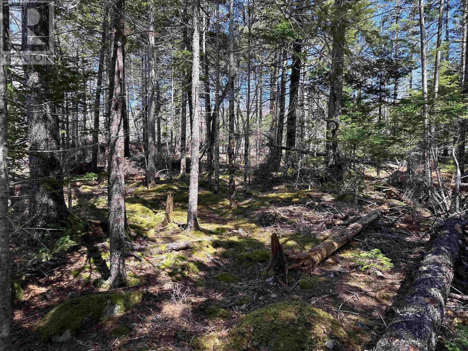 28 Hummingbird Lane, Lapland, Nova Scotia  B4V 7S8 - Photo 28 - 202609840