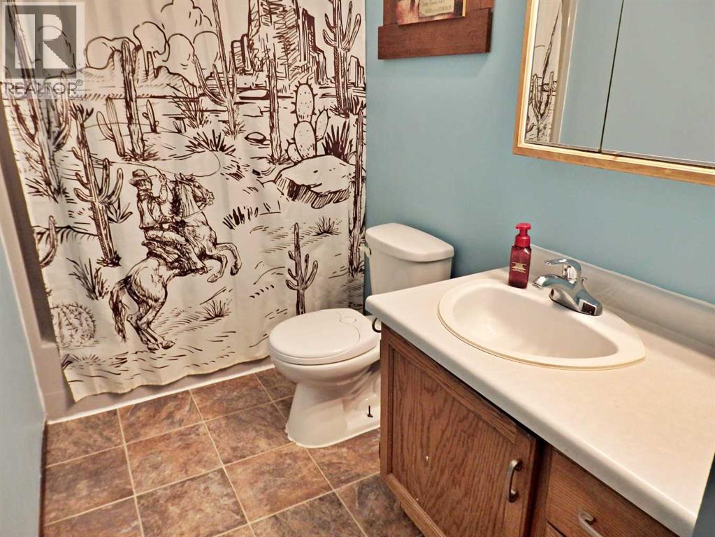 4800 Airport Drive, Vermilion, Alberta  T9X 1P2 - Photo 12 - A2307000