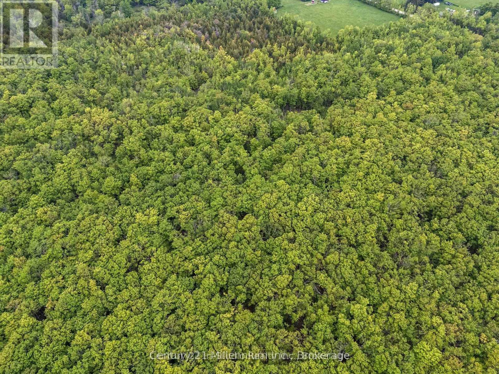 104 Crawford Drive, South Bruce Peninsula, Ontario  N0H 2T0 - Photo 26 - X13115708