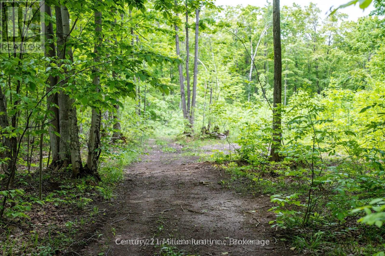 104 Crawford Drive, South Bruce Peninsula, Ontario  N0H 2T0 - Photo 5 - X13115708
