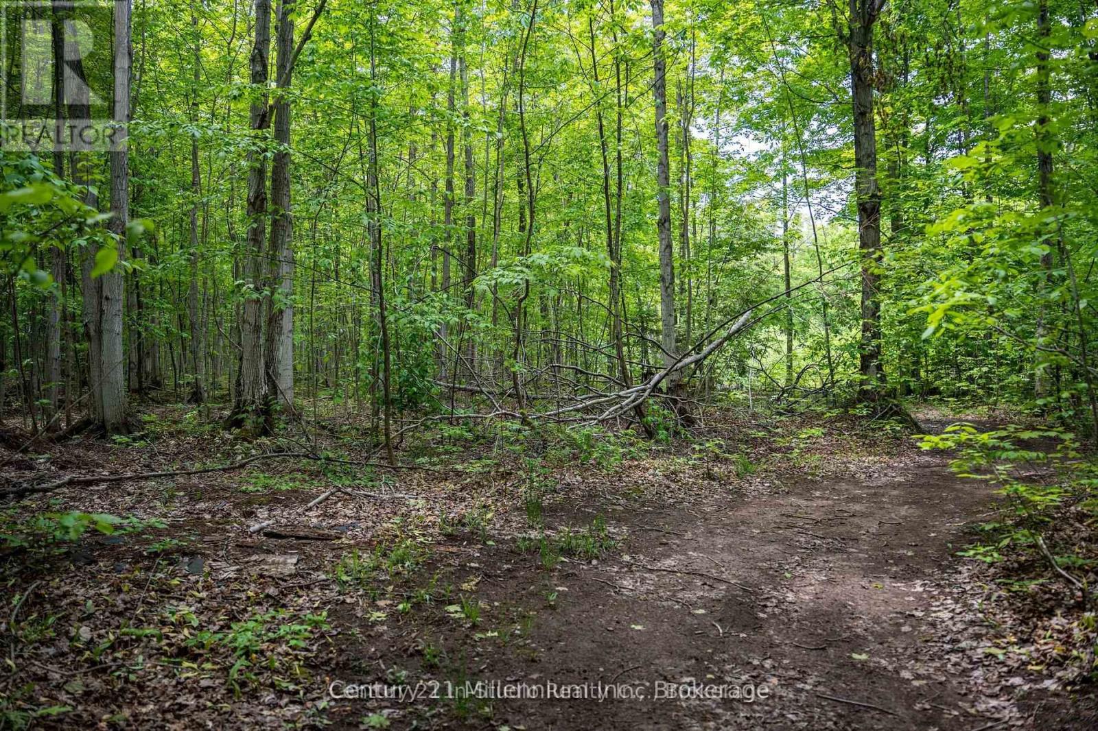 104 Crawford Drive, South Bruce Peninsula, Ontario  N0H 2T0 - Photo 6 - X13115708