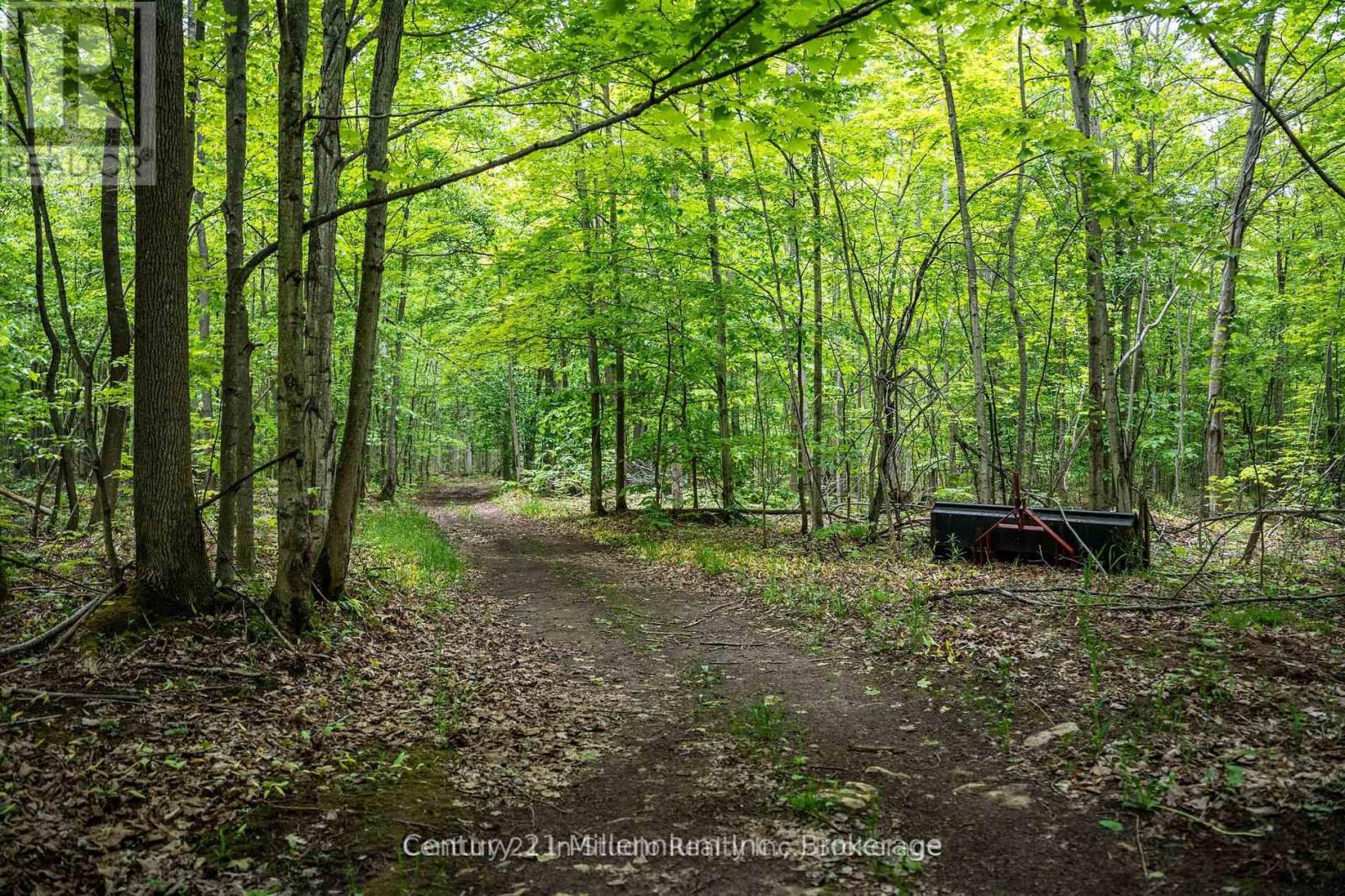 104 Crawford Drive, South Bruce Peninsula, Ontario  N0H 2T0 - Photo 8 - X13115708