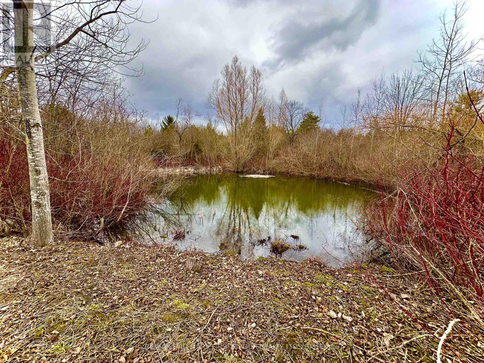 2269 Concession 4, Uxbridge, Ontario  L0C 1A0 - Photo 6 - N12967436