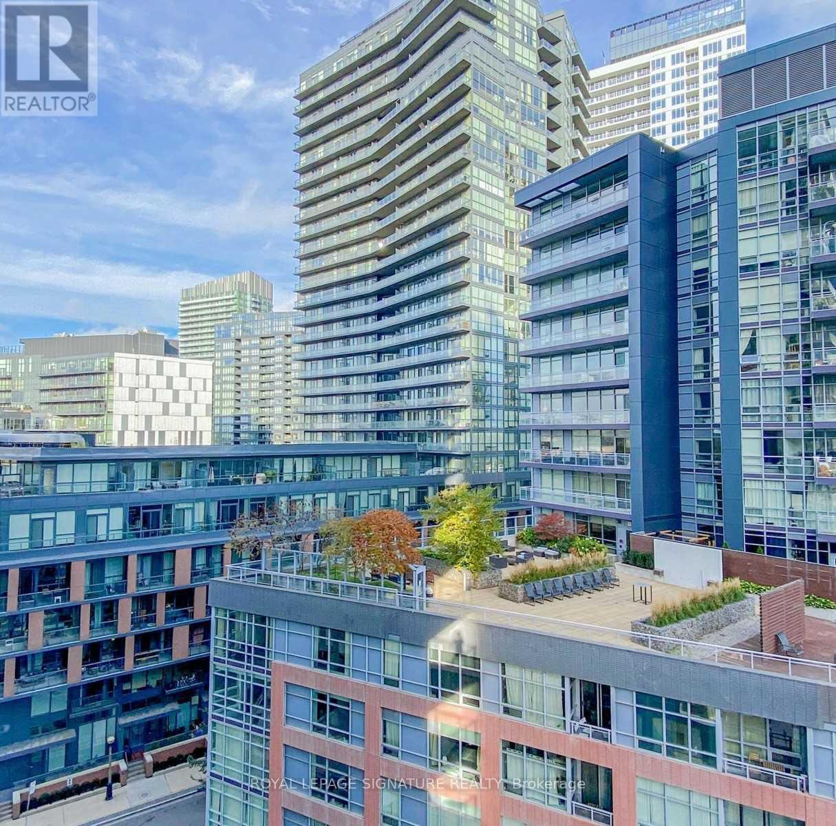 810 - 38 Iannuzzi Street, Toronto, Ontario  M5V 0S2 - Photo 16 - C13115426