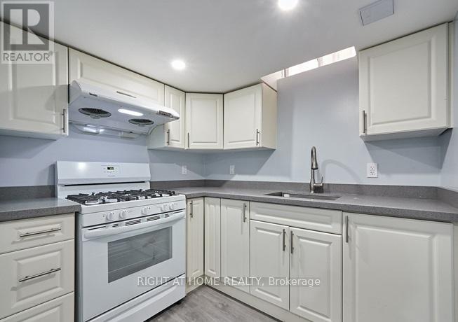 Bsmt - 117 Hibbard Drive, Ajax, Ontario L1Z 1J8 - Photo 7 - E13115404