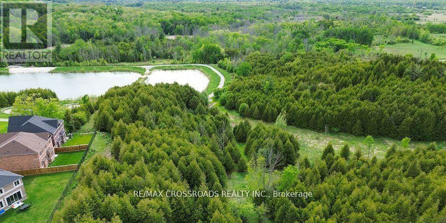 50 Carriage Shop Bend, East Gwillimbury, Ontario  L9N 0Y5 - Photo 46 - N13115650