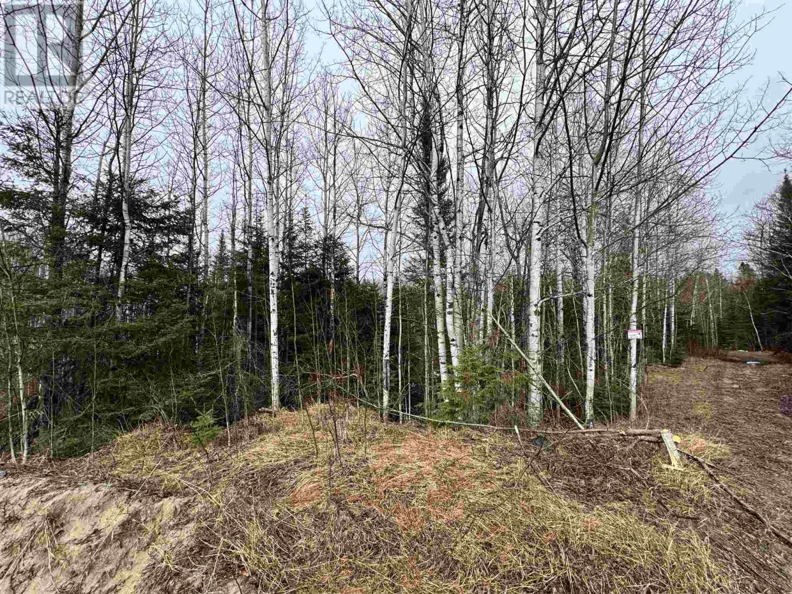 332 Highway 129, Chapleau, Ontario  P0M 1K0 - Photo 24 - SM260900