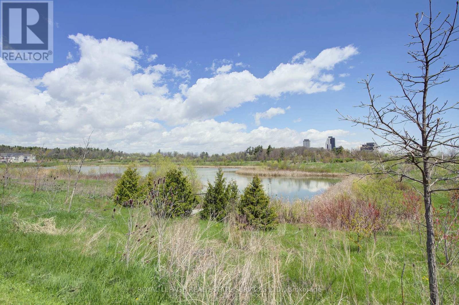 75 Ballmer Trail, Oakville, Ontario  L6H 0V6 - Photo 49 - W13115544