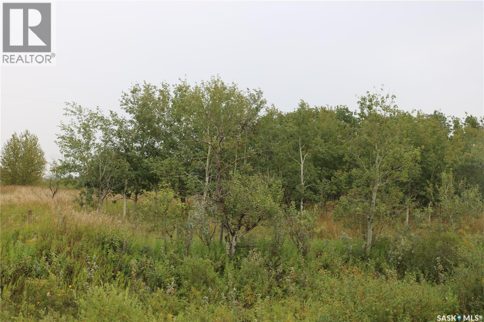 Brehaut Acreage, Martin Rm No. 122, Saskatchewan  S0G 3N0 - Photo 29 - SK035697