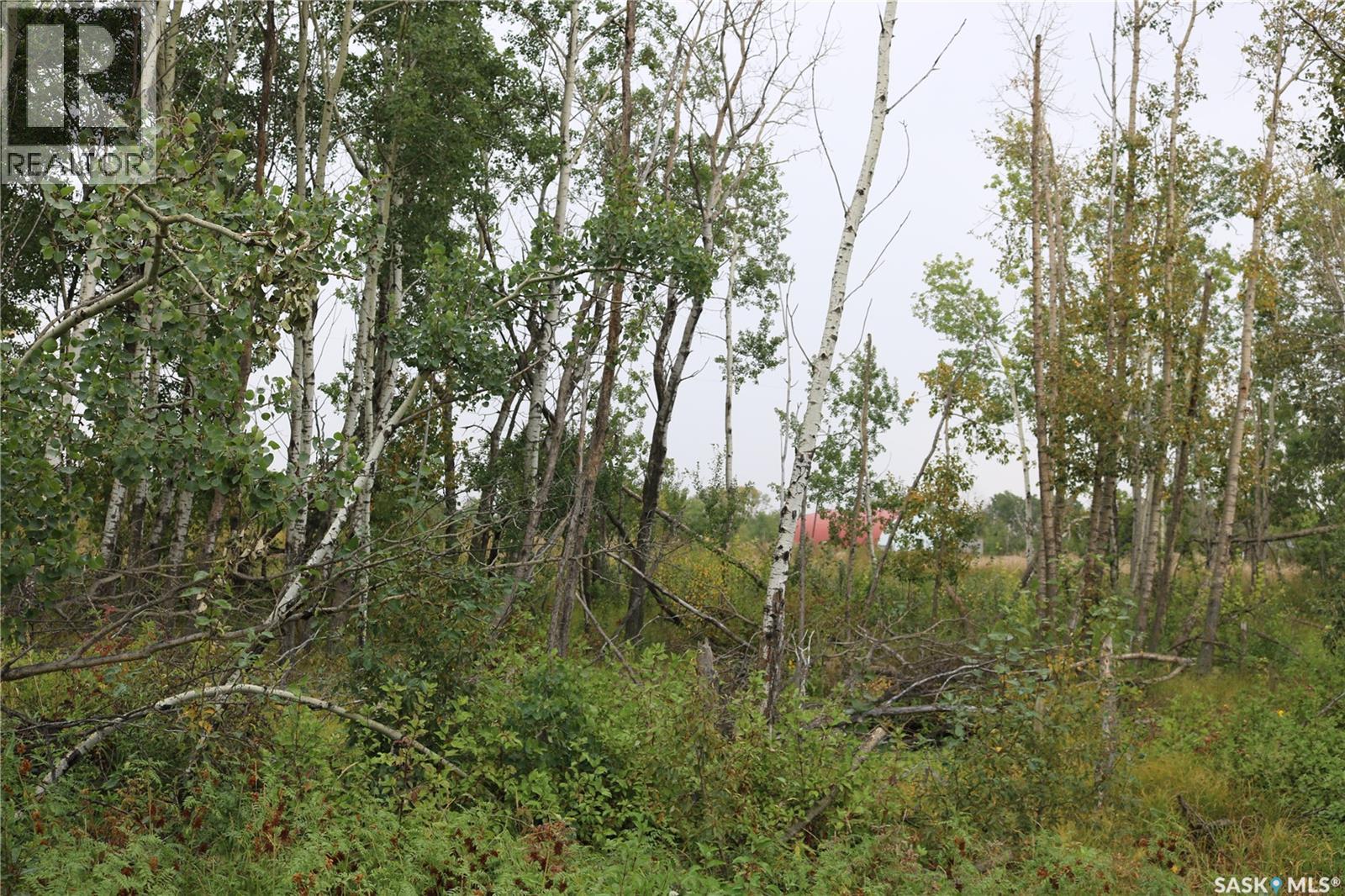 Brehaut Acreage, Martin Rm No. 122, Saskatchewan  S0G 3N0 - Photo 30 - SK035697
